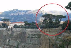 Pini storici di Villa Fondi - Piano di Sorrento