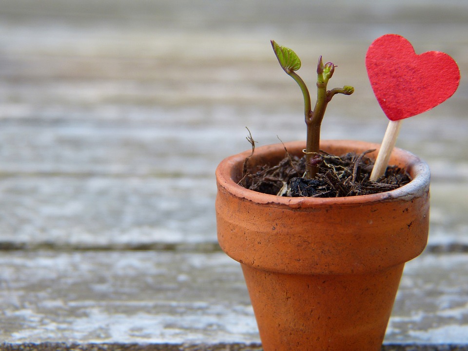 IL CICLO DI VITA DELL’INDIVIDUO L’età adulta: una palestra per la resilienza